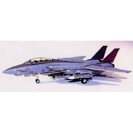 1/72 F-14A gLbg AJCR VF-154 Black KnightsNF100CAG@ 2003׽ײ