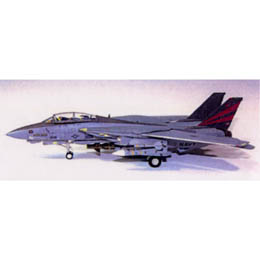 1/72 F-14A gLbg AJCR VF-154 Black KnightsNF101CO@ 2003׽ײ