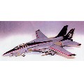 1/72 F-14AgLbg VF-154ubNiCc~jAiCc2000dl