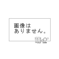 IZUMO3/「カヤノ」抱き枕カバー