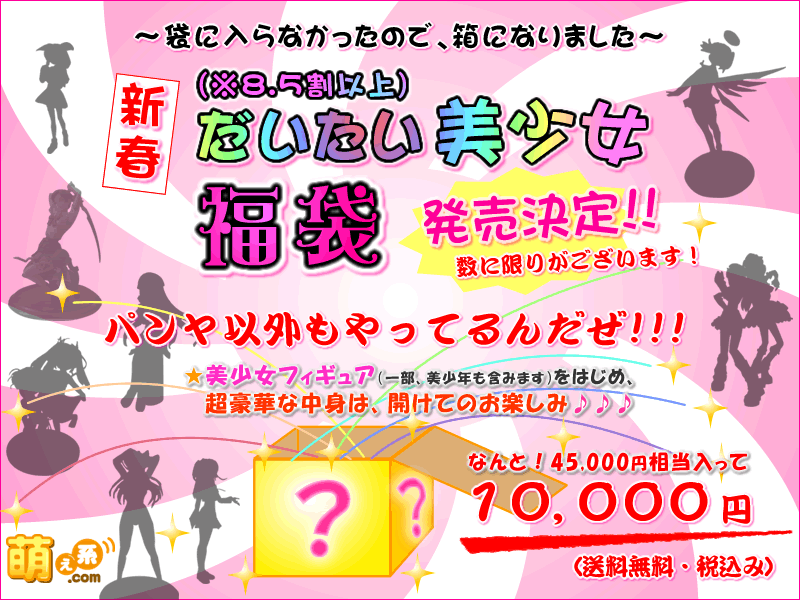 〜袋に入らなかったので、箱になりました〜 新春だいたい美少女福袋