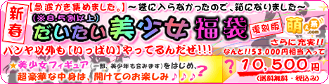 【急遽かき集めました。】〜袋に入らなかったので、箱になりました〜 新春(※8.5割以上)だいたい美少女福袋